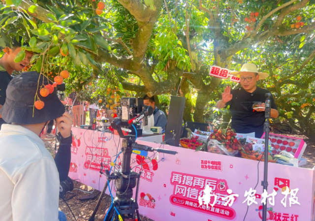 电商直播助力揭阳荔枝香飘全国。