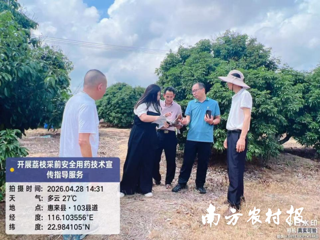 揭阳市农技专家积极开展果园精准指导服务。