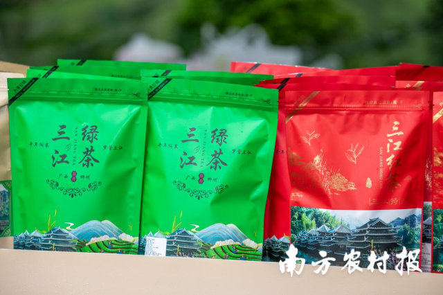 三江茶