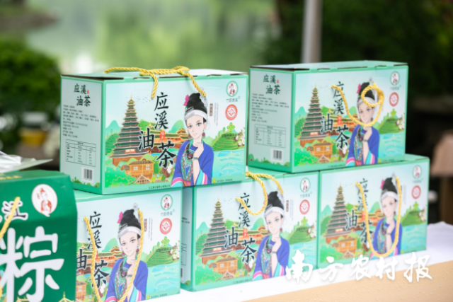三江油茶。