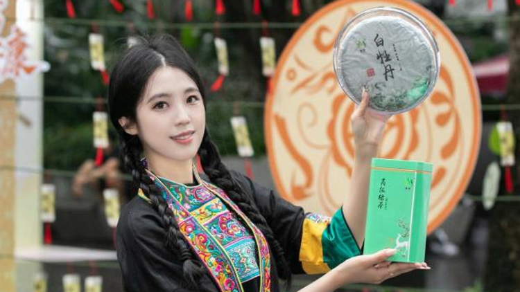 “侗味入湾”，一场推介唱出粤桂协作新声