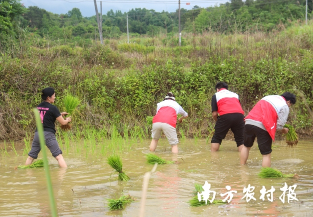 受访者供图