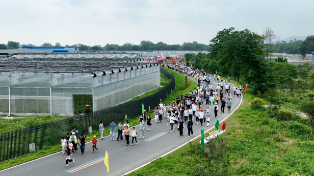 活动现场 蔡亚佳 摄 活动现场 蔡亚佳 摄