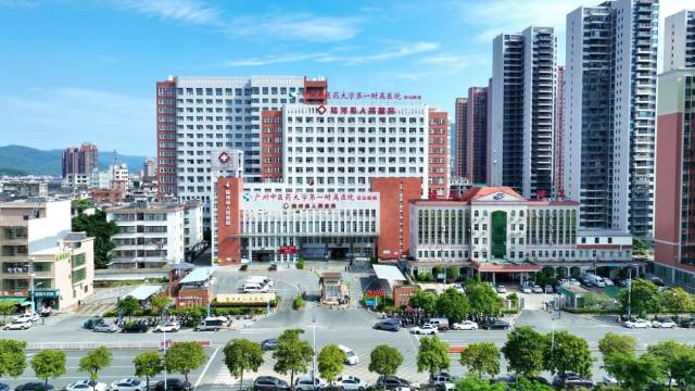 陆河将县直三家医院整体打包由广州中医药大学第一附属医院托管，构建城乡紧密型医联体。