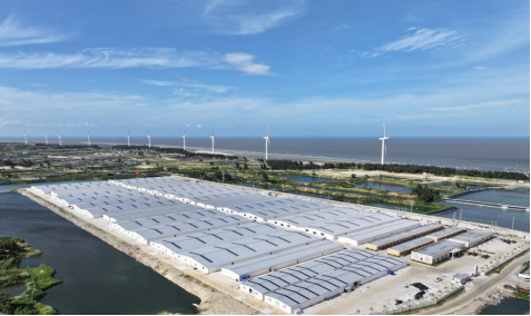 海大集团助力湛江雷州市东里镇完善民生基础设施， 带动当地养殖产业发展。