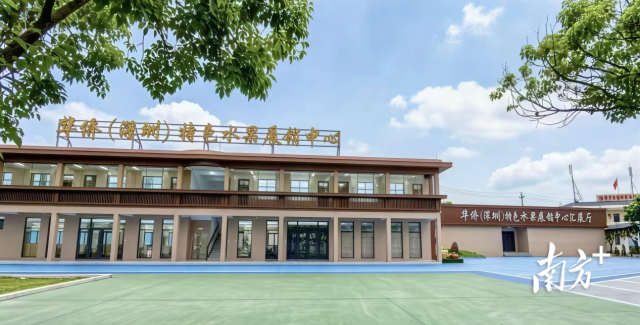 华侨（深圳）特色水果展销中心通过改造小学校舍打造特色展厅。