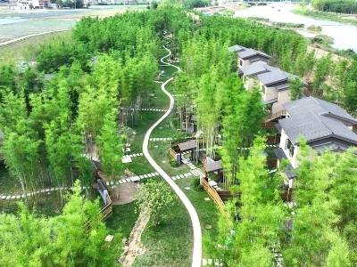 新丰借势帮扶聚力发展，跑出“百千万工程”加速度