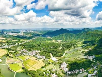 冲刺五年考，广州“百千万工程”如何实现显著变化？
