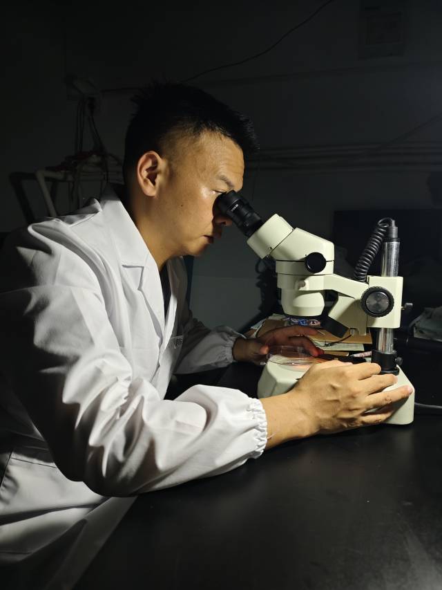 团队成员在实验室观察鳗鲡繁育情况（供图：集美大学陈仕玺团队）