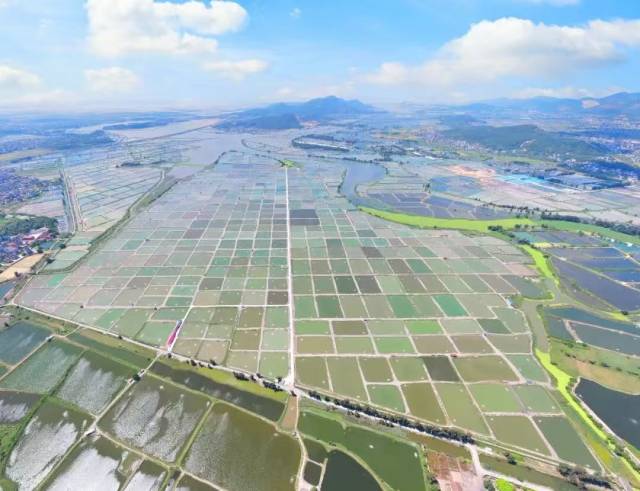 天马科技在福清拥有“万亩级”鳗鲡养殖基地（图源：天马科技官微）