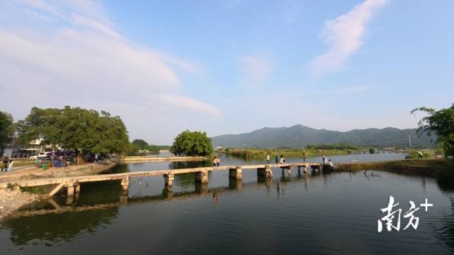 揭阳西淇三村网红桥。南方+拍客 林志鸿 摄