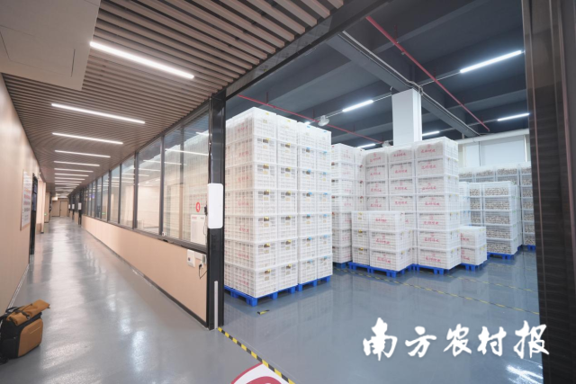 广东邑祥陈皮有限公司入选新会区首批认定的新会陈皮公共监管仓。 广东邑祥陈皮有限公司入选新会区首批认定的新会陈皮公共监管仓。