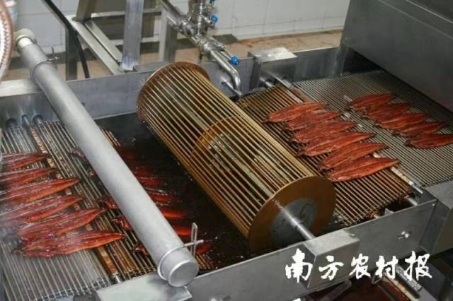 烤鳗加工生产线