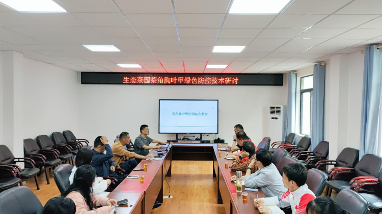 省农科院茶叶所召开生态茶园茶角胸叶甲绿色防控技术研讨会