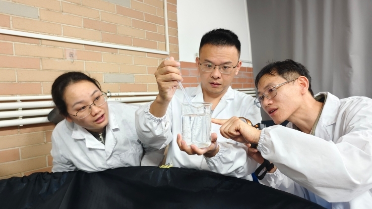 集美大学陈仕玺团队育出37日龄柳叶鳗，并发现世界首例淡水自然性成熟鳗鲡