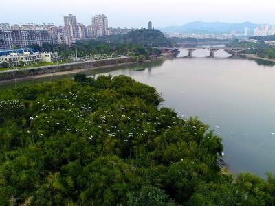 增江河畔纵身一跃，广东地质工程师勇救落水女孩
