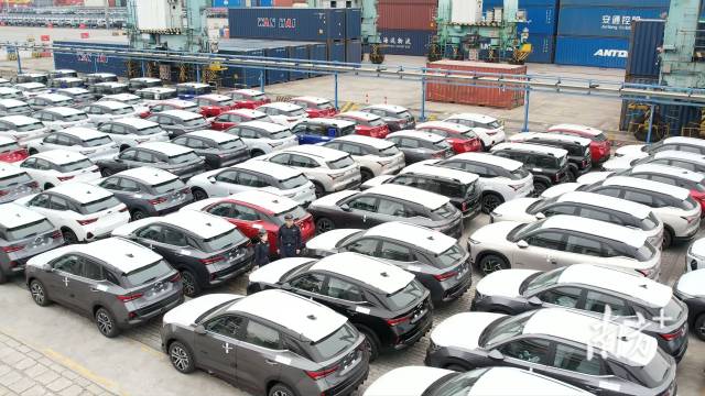 黄埔口岸今年1-4月进口汽车4.6万辆,占全国整车进口量36.6%。受访者供图