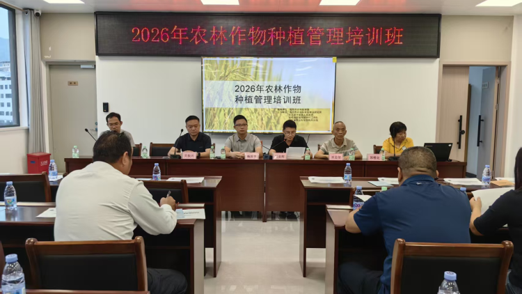 农技培训助农耕 科技赋能促增收——大柘镇举办农林作物种植管理培训班助力百千万工程