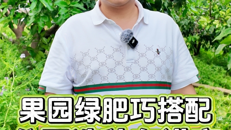 果园绿肥巧搭配，分区选种有讲究