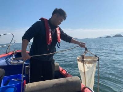广东印发赤潮灾害预警监测工作方案，构建全域立体防控体系