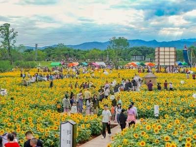 不挤大热门！五一，蕉岭“小而美”出圈