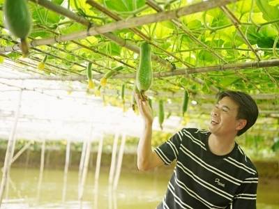 视频｜返乡8年，他“救活”了这颗瓜