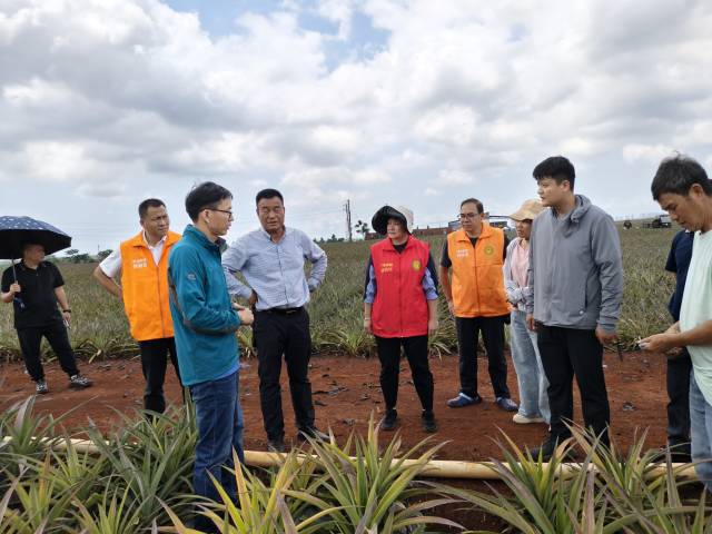 南方农村报 徐建杭 拍摄