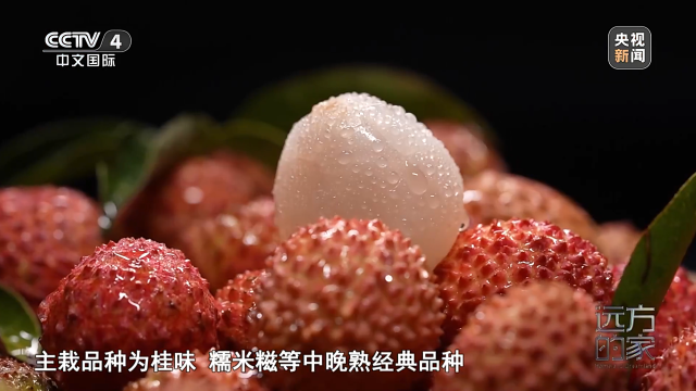 南方农村报 王富迪 拍摄
