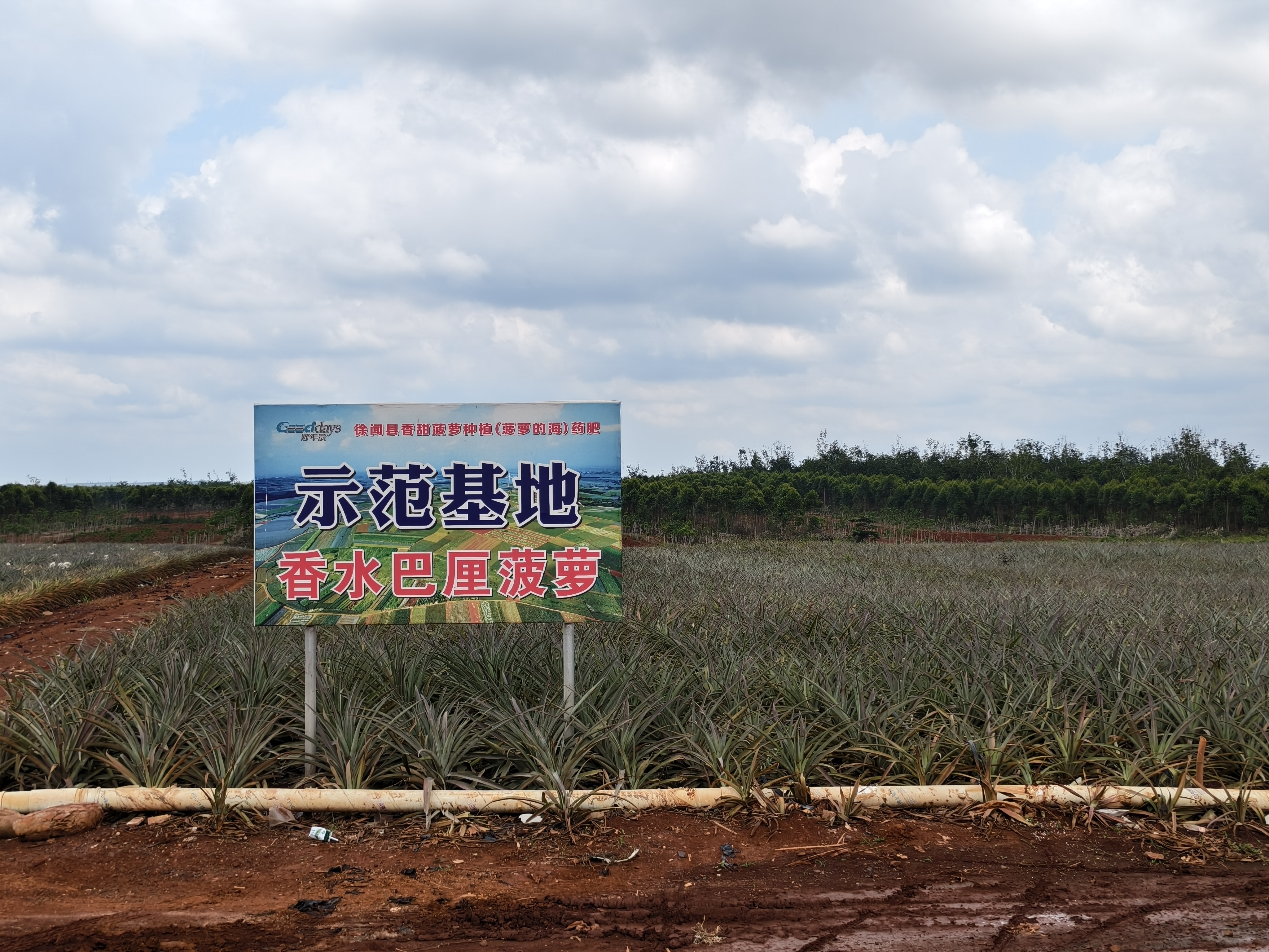 南方农村报 徐建杭 拍摄