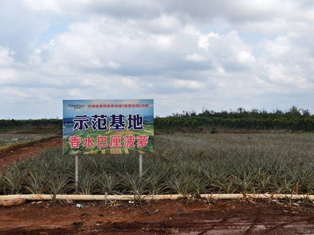 南方农村报 徐建杭 拍摄