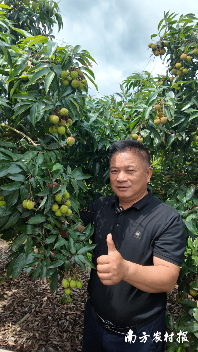 广西浦北县帮良家庭农场负责人梁帮财