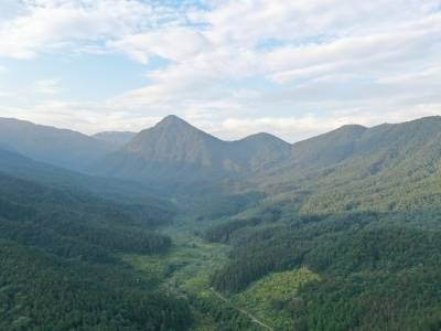 广二医怀集医院成功救治高处坠落重伤患者