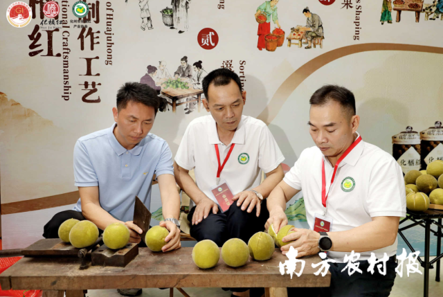 中外嘉宾参观了解化橘红印象馆、体验化橘红非遗技艺。