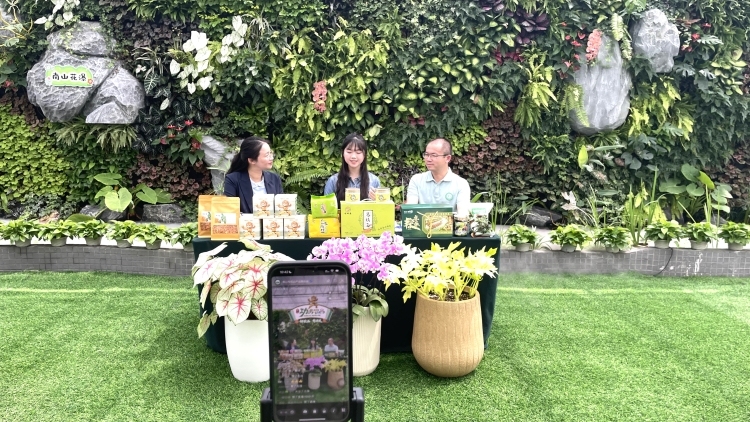 佛山“功夫农品”直播搬进智能大棚，10万网友“云游”科技田园