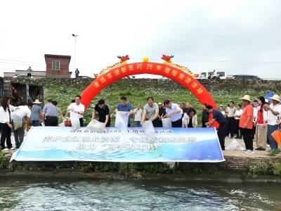 放流百万鱼苗，养护北江生态，清新在行动
