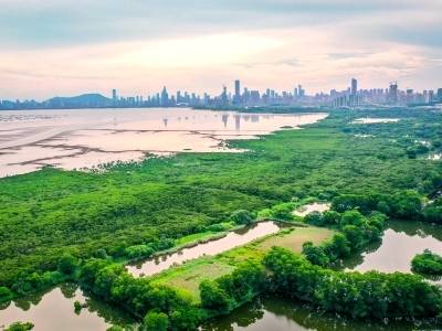 “粤港湾控股”更名“粤港湾智算”，港股纯智算标的焕新登场