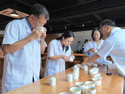 新丰“江源杯”斗茶大赛开赛：以茶为媒，泡出农文旅融合新滋味