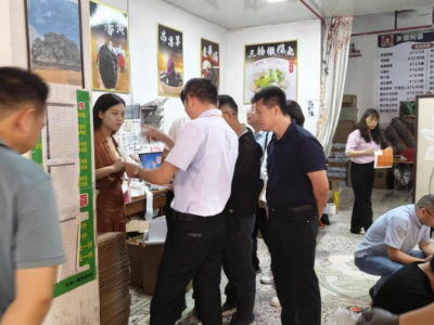 潮阳杨梅放心吃！汕头潮阳区推行前置监管保食安