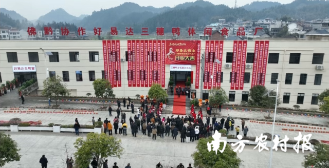 今年初,佛黔协作好易达三穗鸭休闲食品厂正式投产。 今年初,佛黔协作好易达三穗鸭休闲食品厂正式投产。