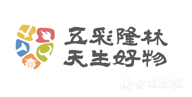 受访者供图