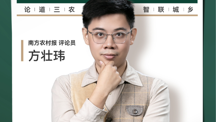 兴农评丨滞销蒜薹变饼干，长效破局更助农
