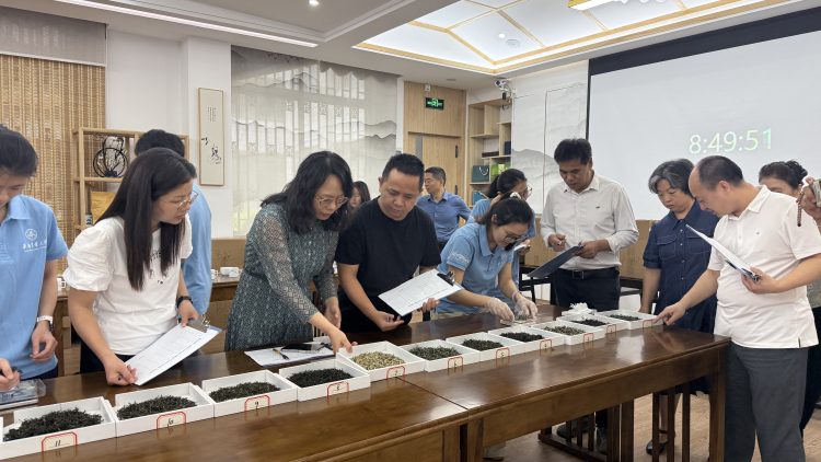 科技赋能茶王争霸！茶叶所专家助力韶关第二届PICC杯斗茶大赛圆满落幕