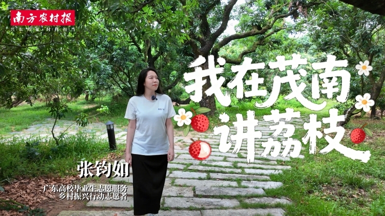 荔红时节，她在乡野与舞台之间丨荔志新农人①
