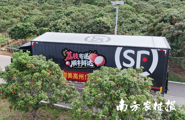 受访者供图