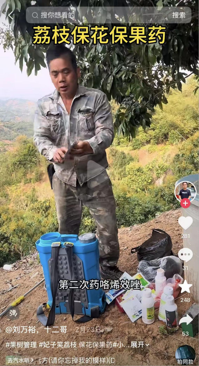 刘万裕在抖音视频账号发布有关荔枝保花保果的视频