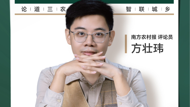 兴农评丨药水杨梅扰乱市场，无辜产区如何破局？