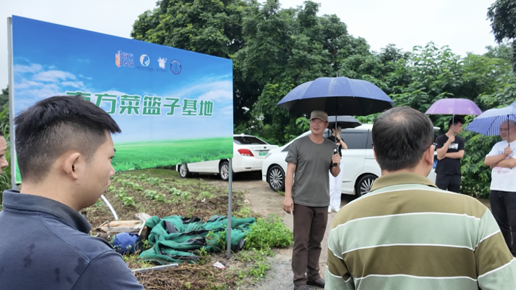 种植+循环养殖联动，惠州博罗长宁镇考察团赴清远交流现代农业发展经验