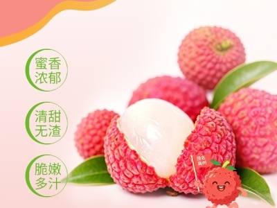 广货行天下·南方优品荔枝季｜千年“荔乡”白糖罂抢“鲜”上线，错过再等一年！