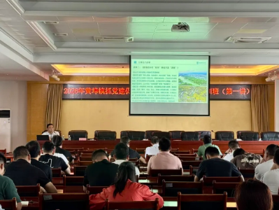 惠东黄埠举办农文旅专题培训，助力镇村干部解锁新技能