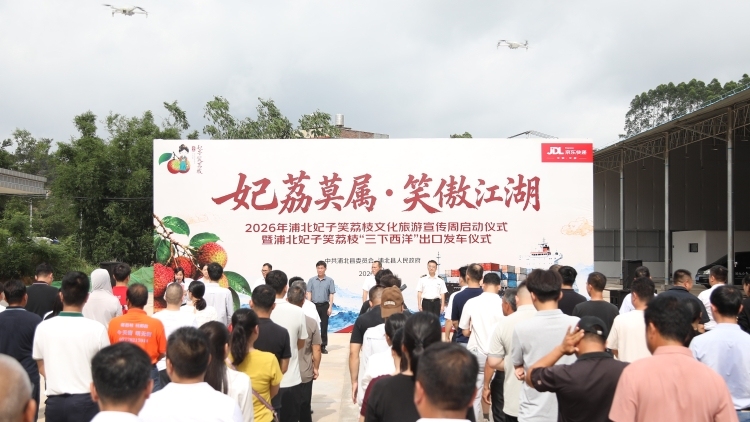浦北妃子笑荔枝文化旅游宣传周开幕，鲜荔首发新加坡、印尼